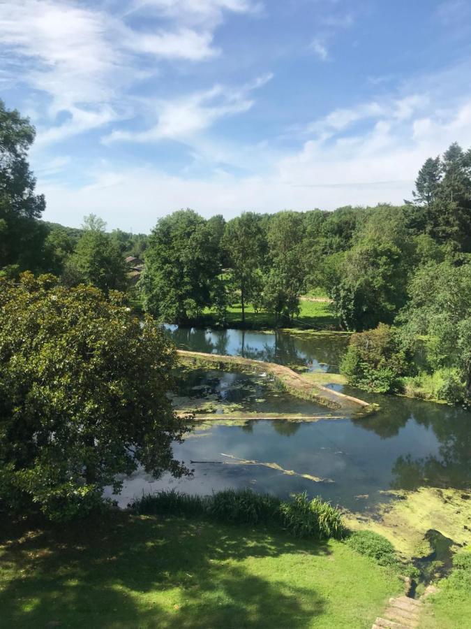 Chateau Des Loups - Les Cypres Echire Exteriér fotografie